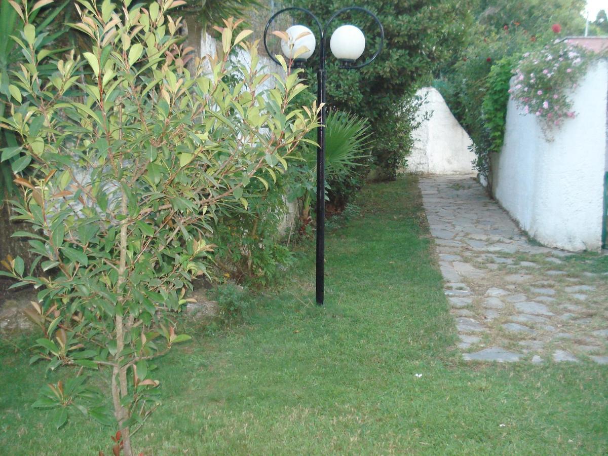 Villa Avra Dassiá Eksteriør bilde